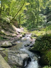 Ehrbachklamm