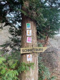 Schmidtburg2