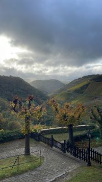 Buchen Sie einen herrlichen Urlaub in der Pension Am Apfelbaum in Kastellaun.